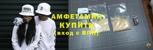 мдпв Вяземский
