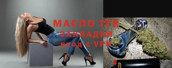 стаф Вязьма