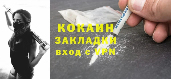 стаф Вязьма