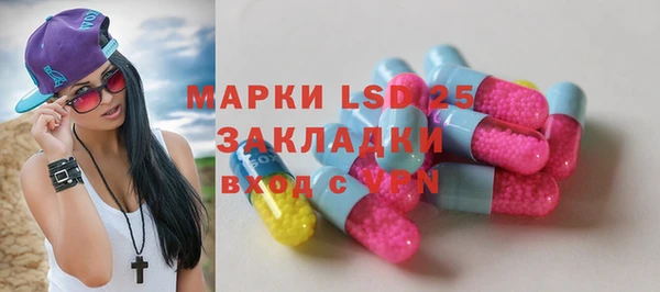 стаф Вязьма