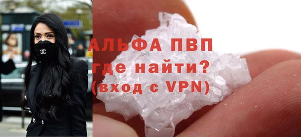 стаф Вязьма