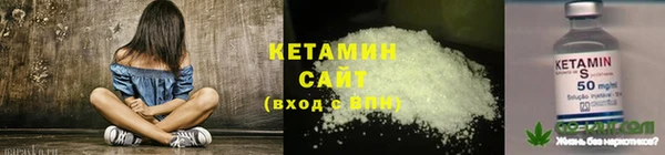 мдпв Вяземский