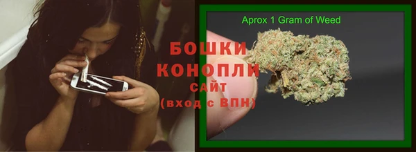 стаф Вязьма
