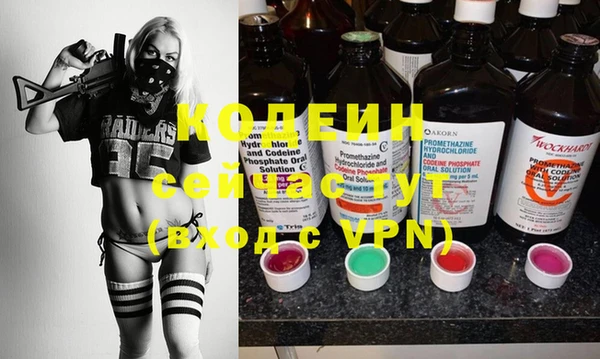 мдпв Вяземский