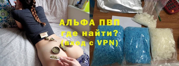 стаф Вязьма