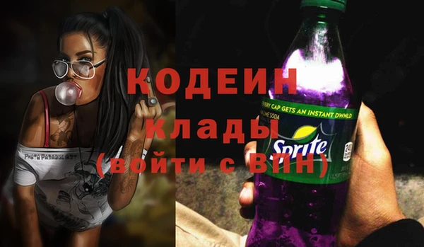 мдпв Вяземский