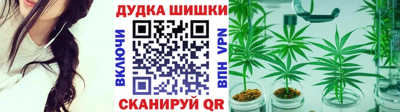 Бошки марихуана Bruce Banner  Кандалакша 